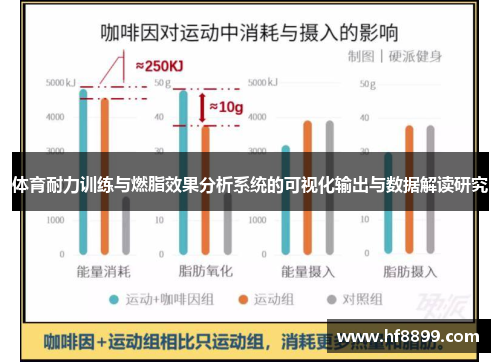 体育耐力训练与燃脂效果分析系统的可视化输出与数据解读研究