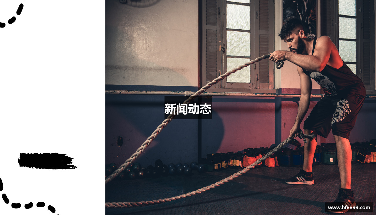新闻动态
